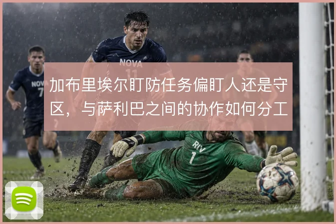 加布里埃尔盯防任务偏盯人还是守区，与萨利巴之间的协作如何分工